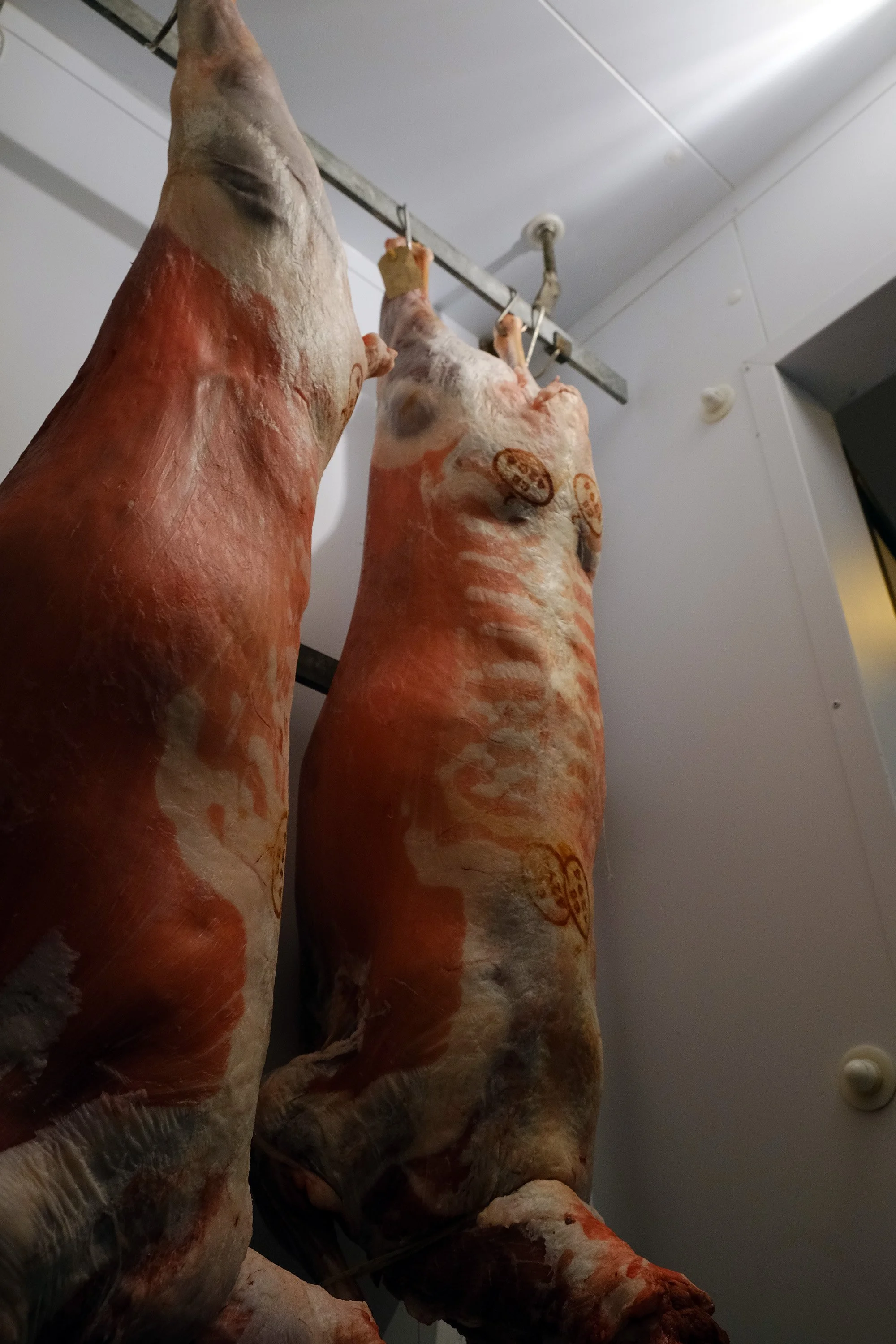 HUNGER GAP: HELEN’S MUTTON