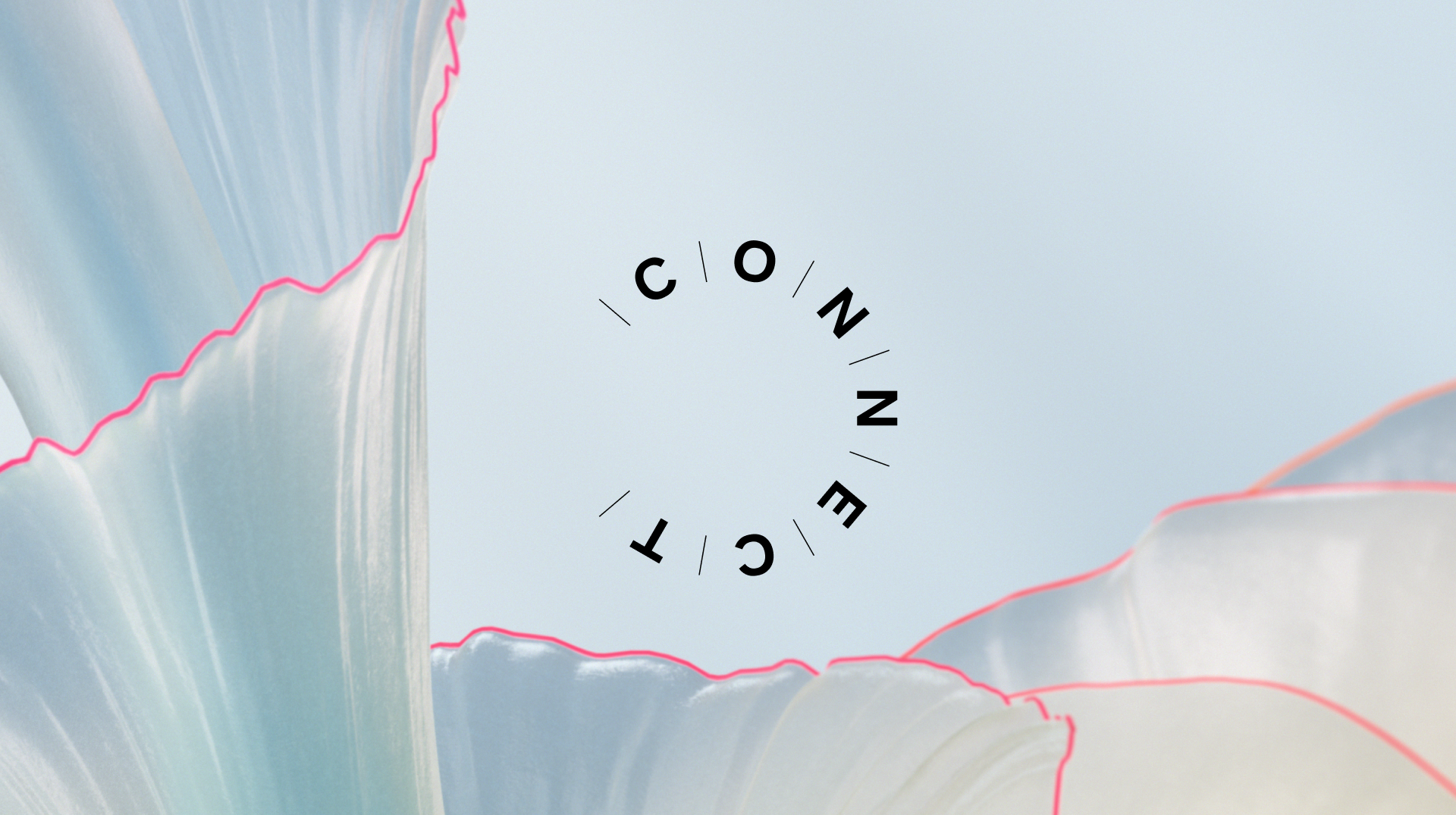 ConenctLogo.png