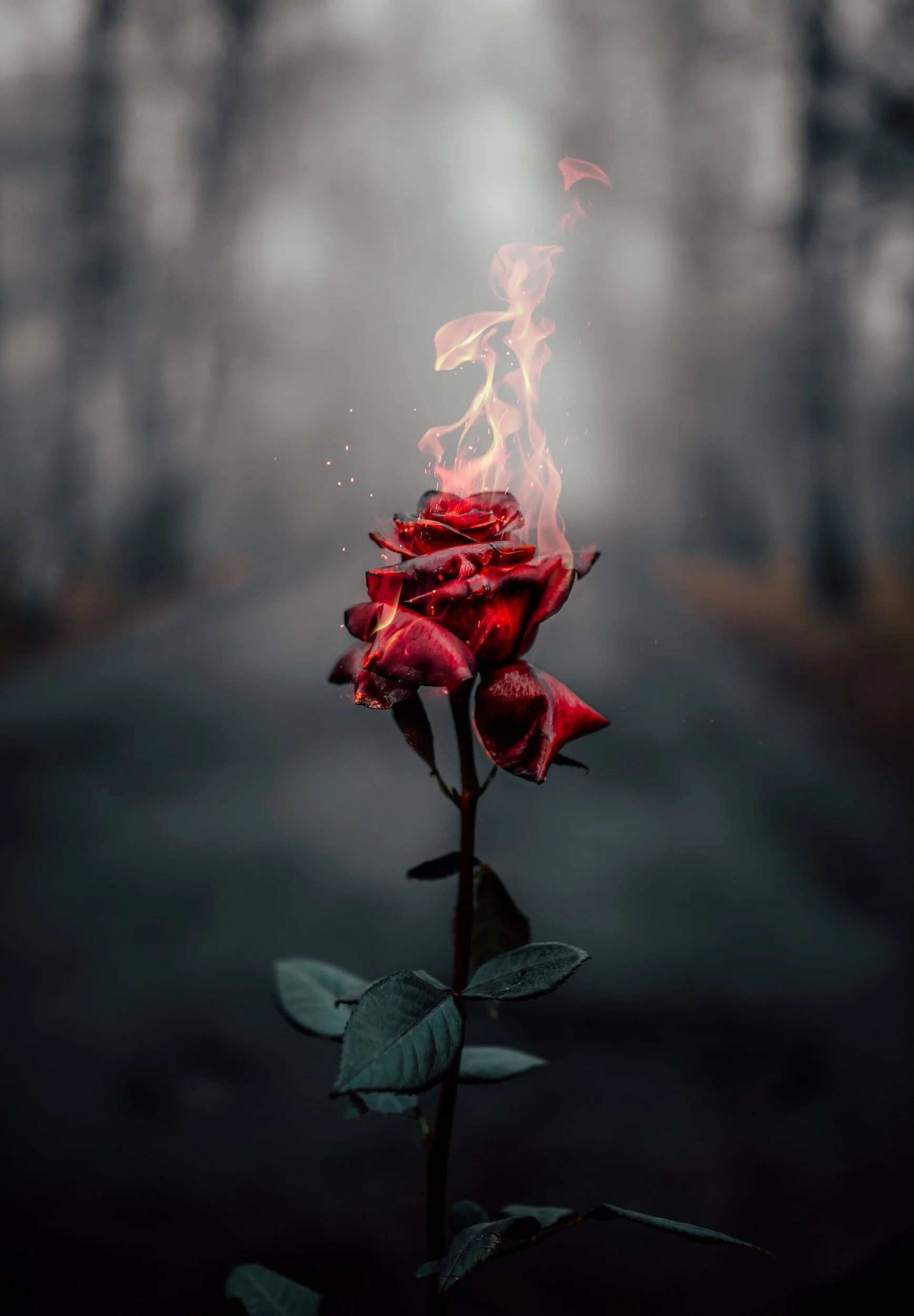 First Love Fire