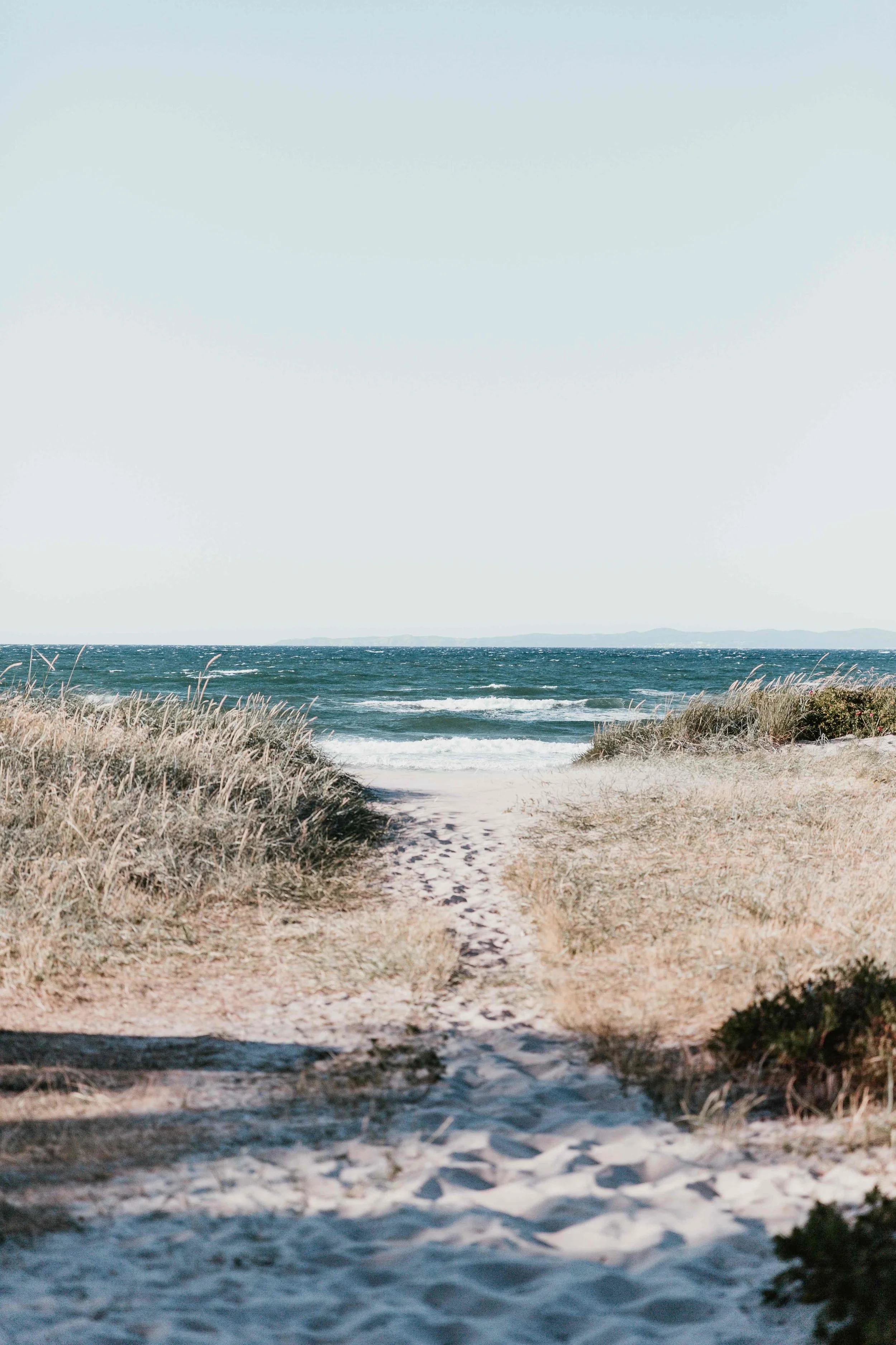 marten-bjork-726405-unsplash.jpg