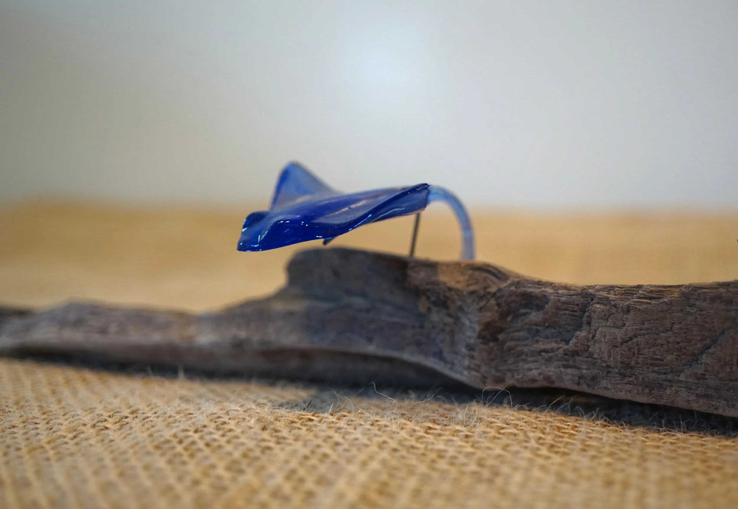 NEW - Stingrays on Driftwood