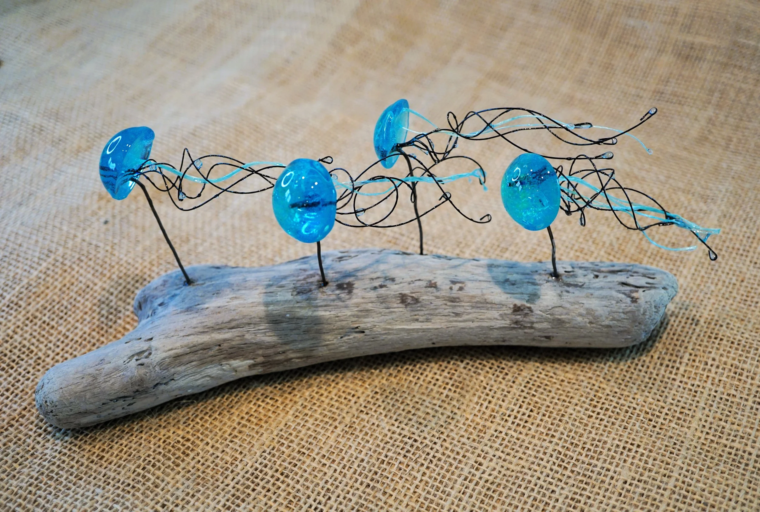 Jellyfish Swarm on Driftwood