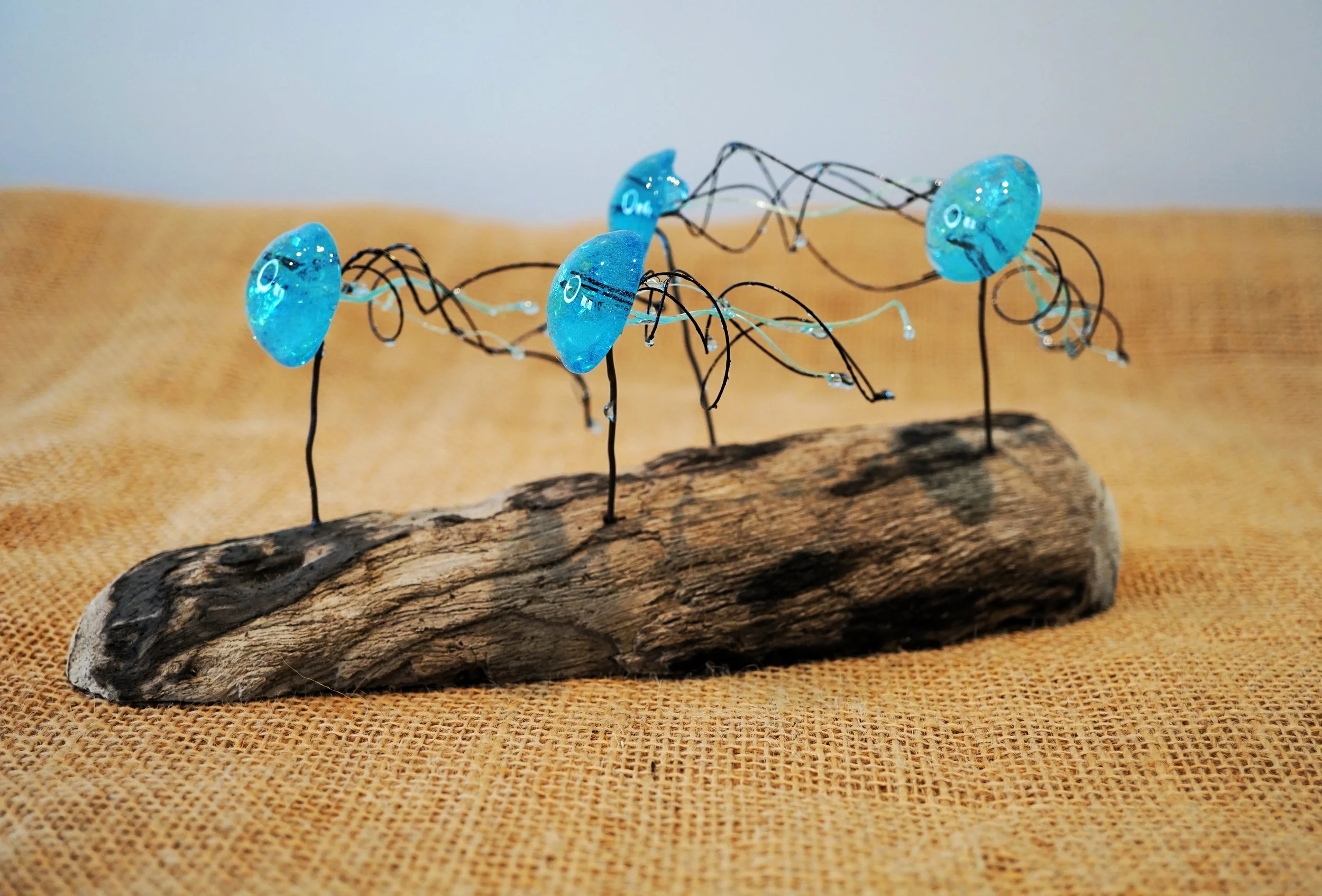 Jellyfish Swarm on Driftwood