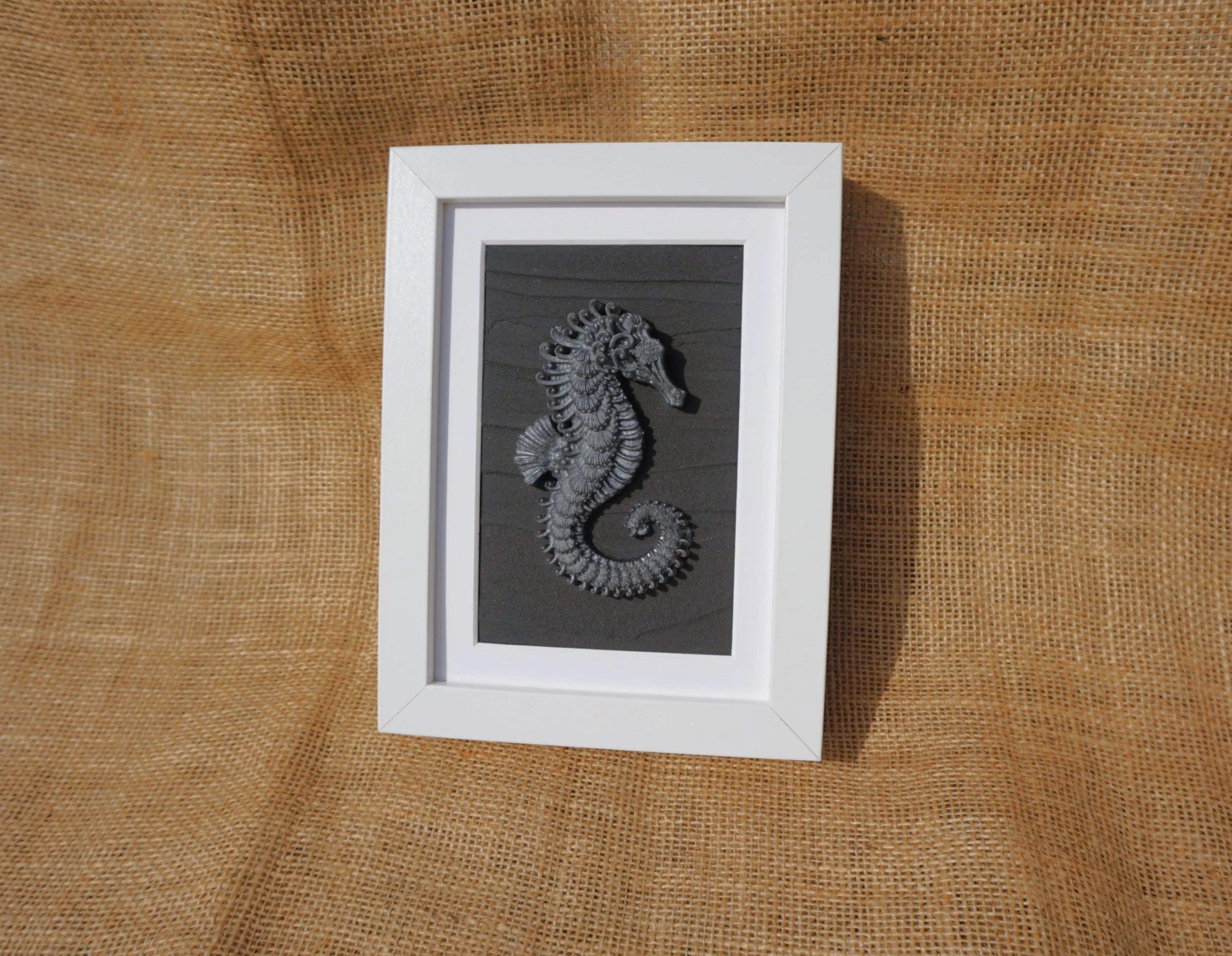 Framed Seahorse