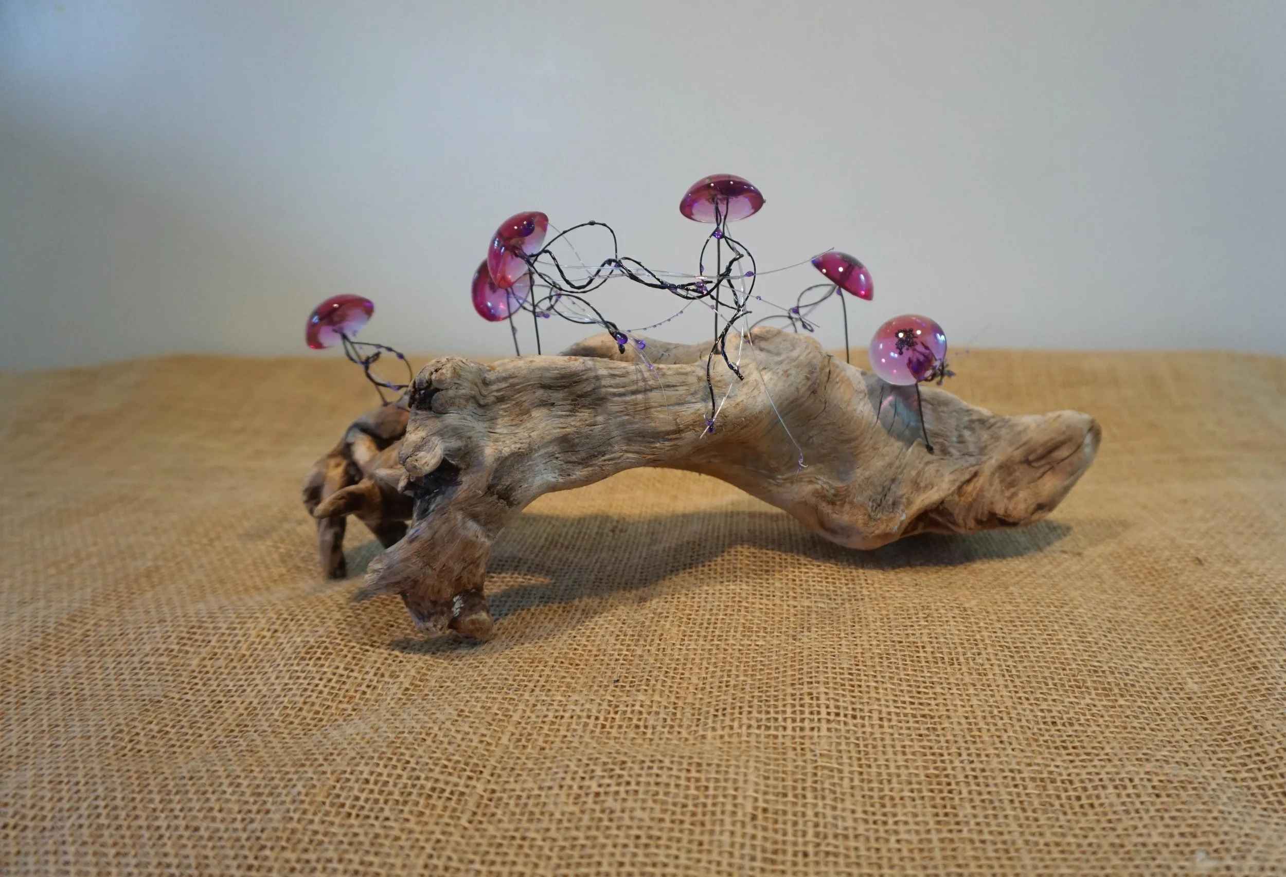 NEW - Jellyfish Swarm on Driftwood