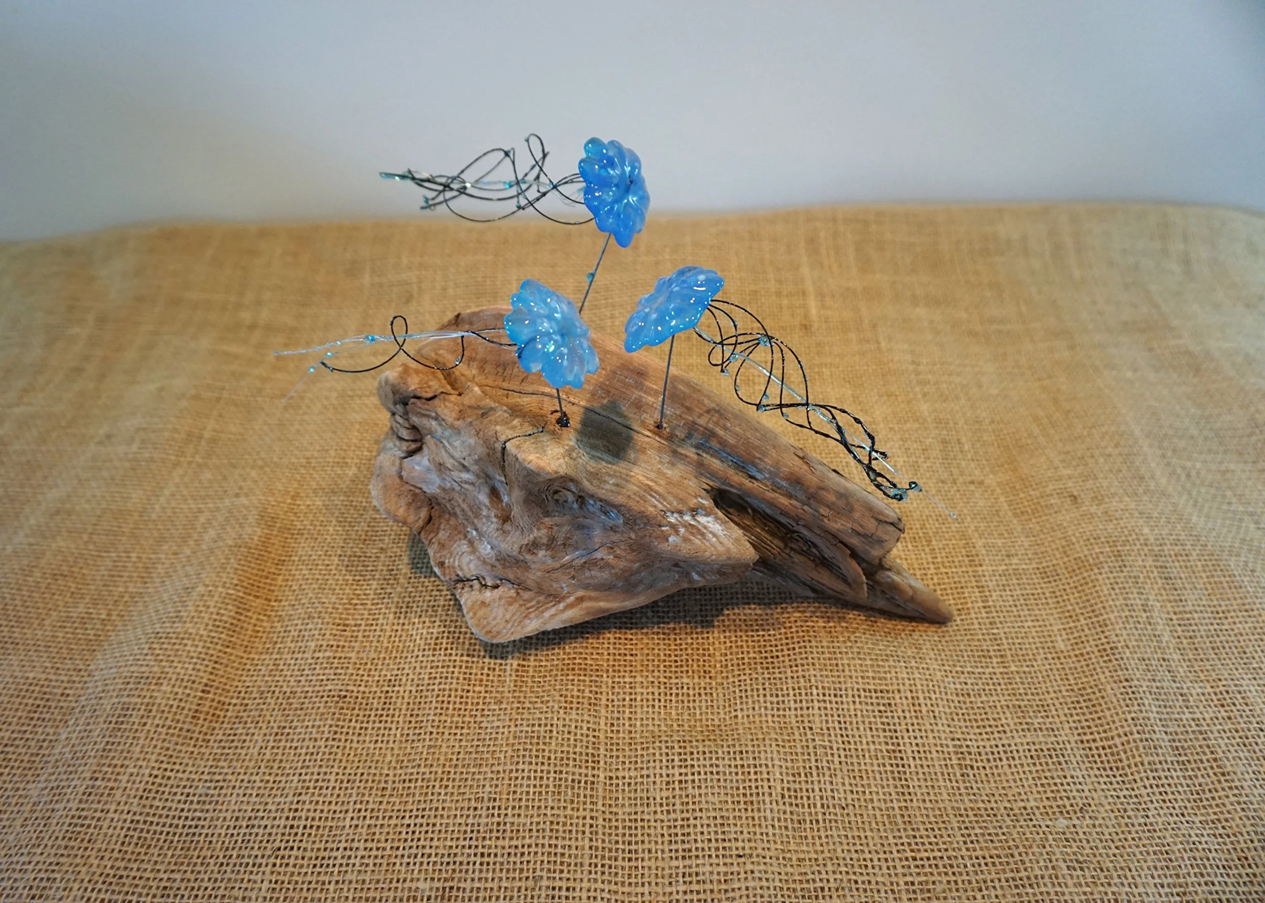 NEW - Jellyfish on Driftwood