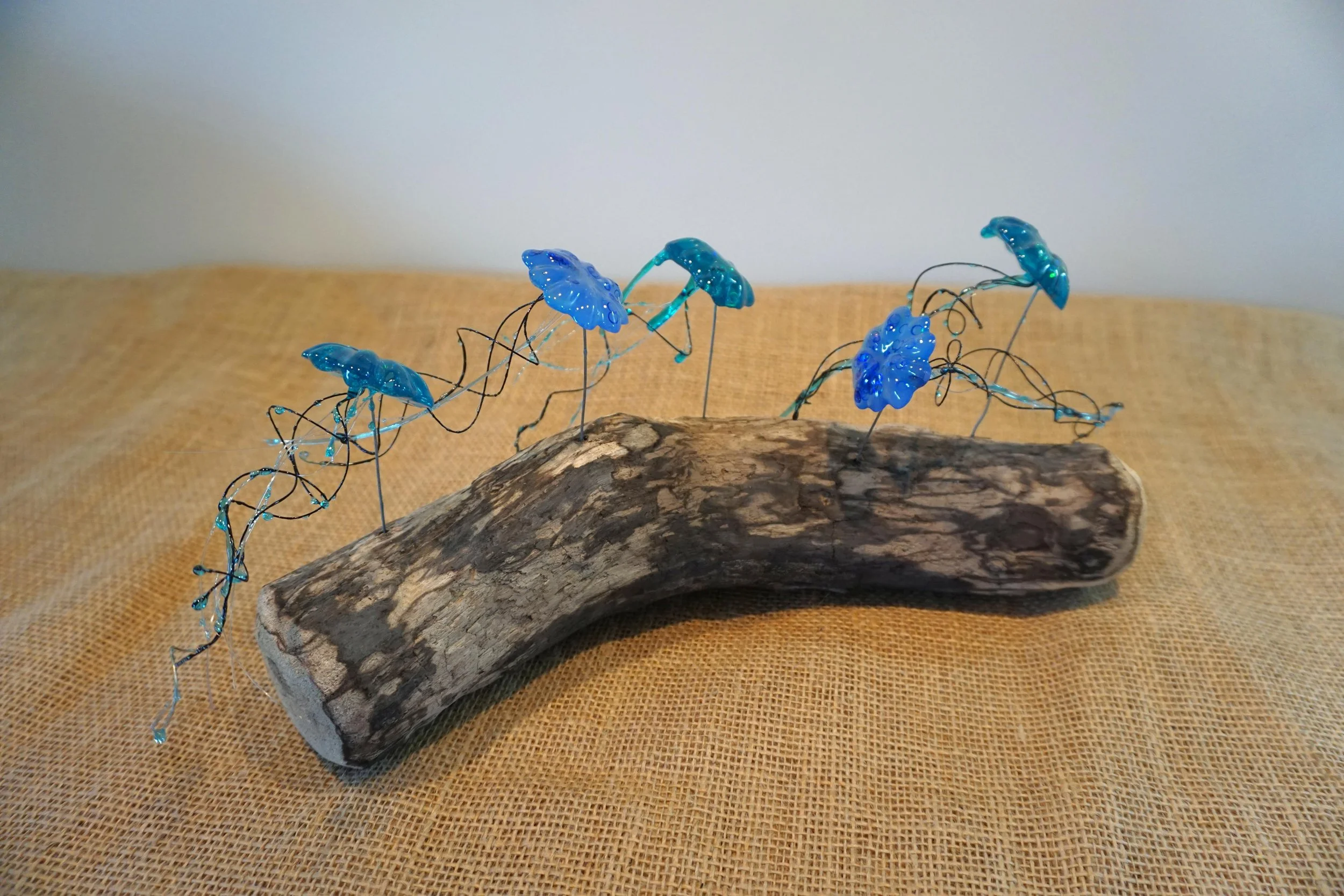 NEW - Jellyfish Swarm on Driftwood (glow range)