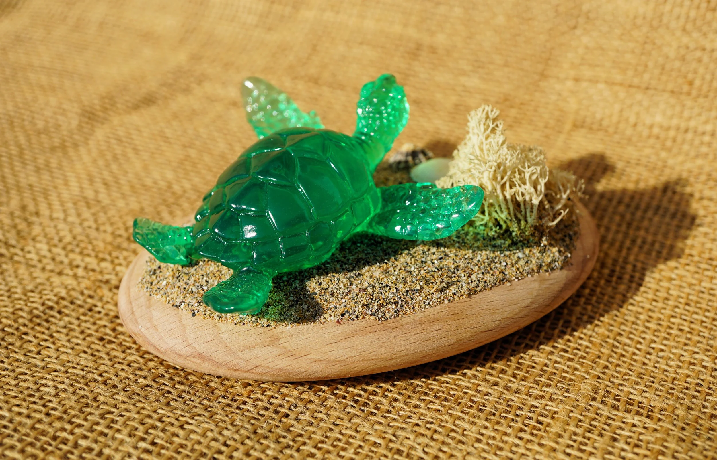 NEW - Turtle