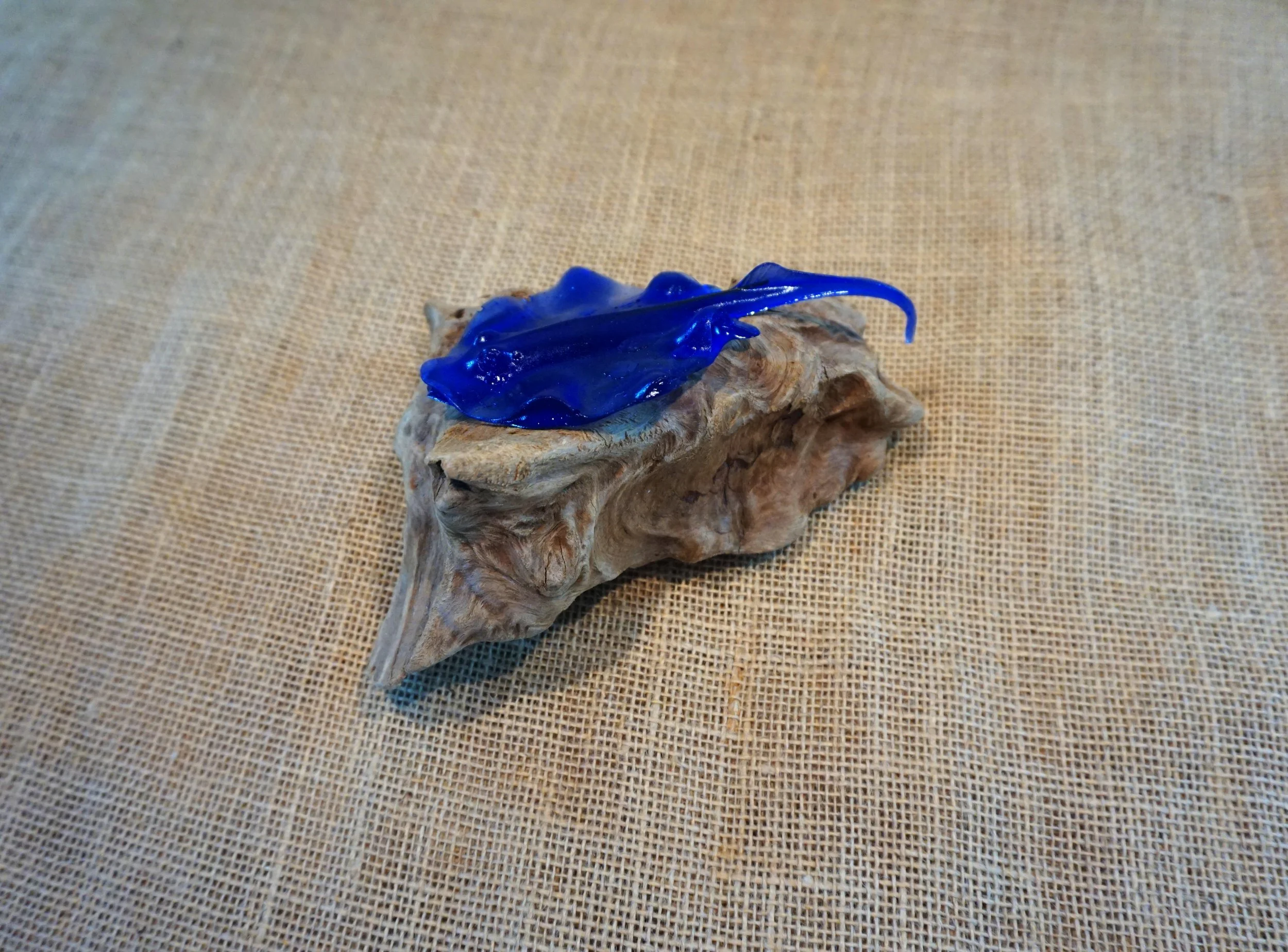 NEW - Stingray on Driftwood