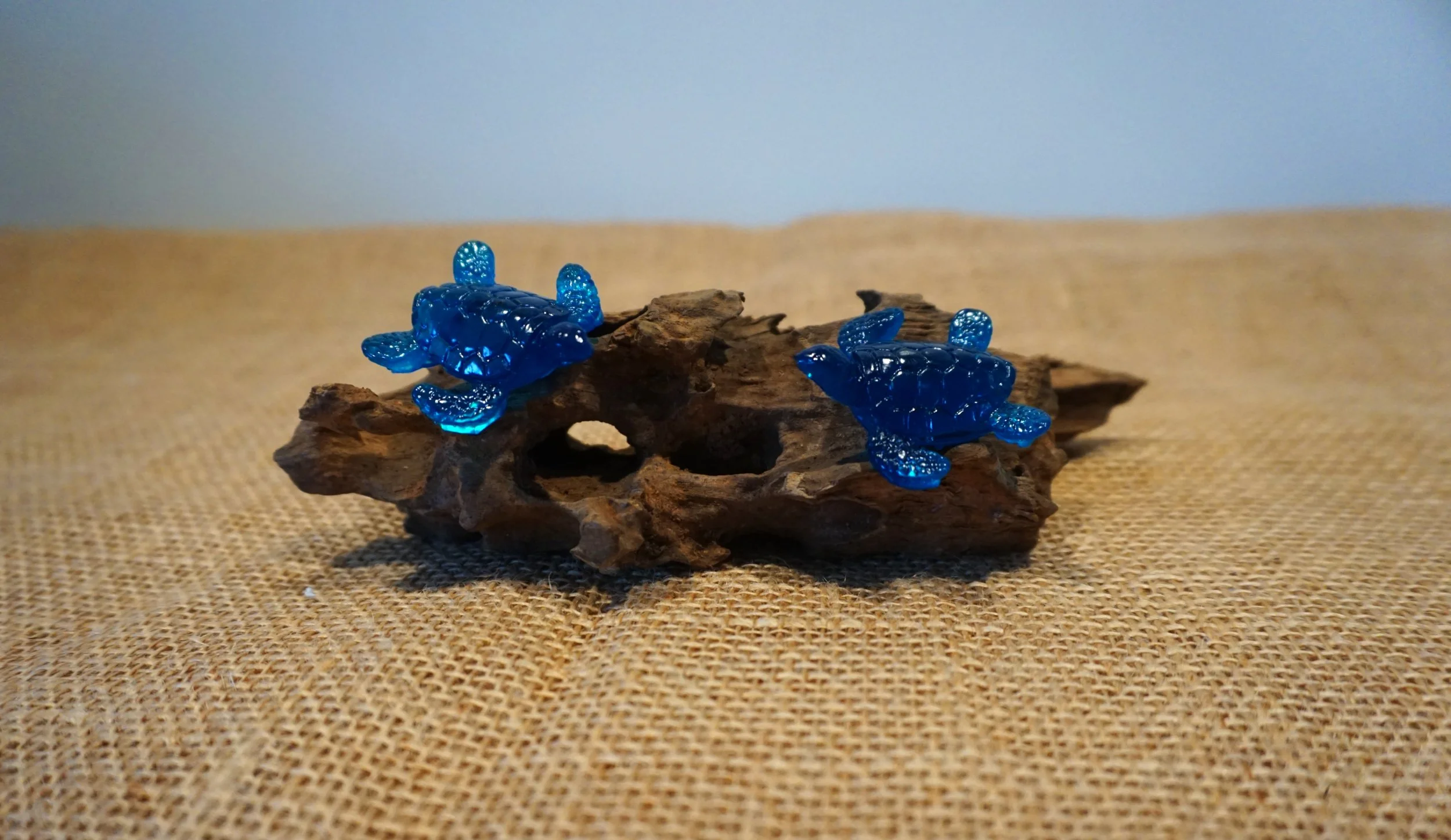 NEW - Turtles on Driftwood