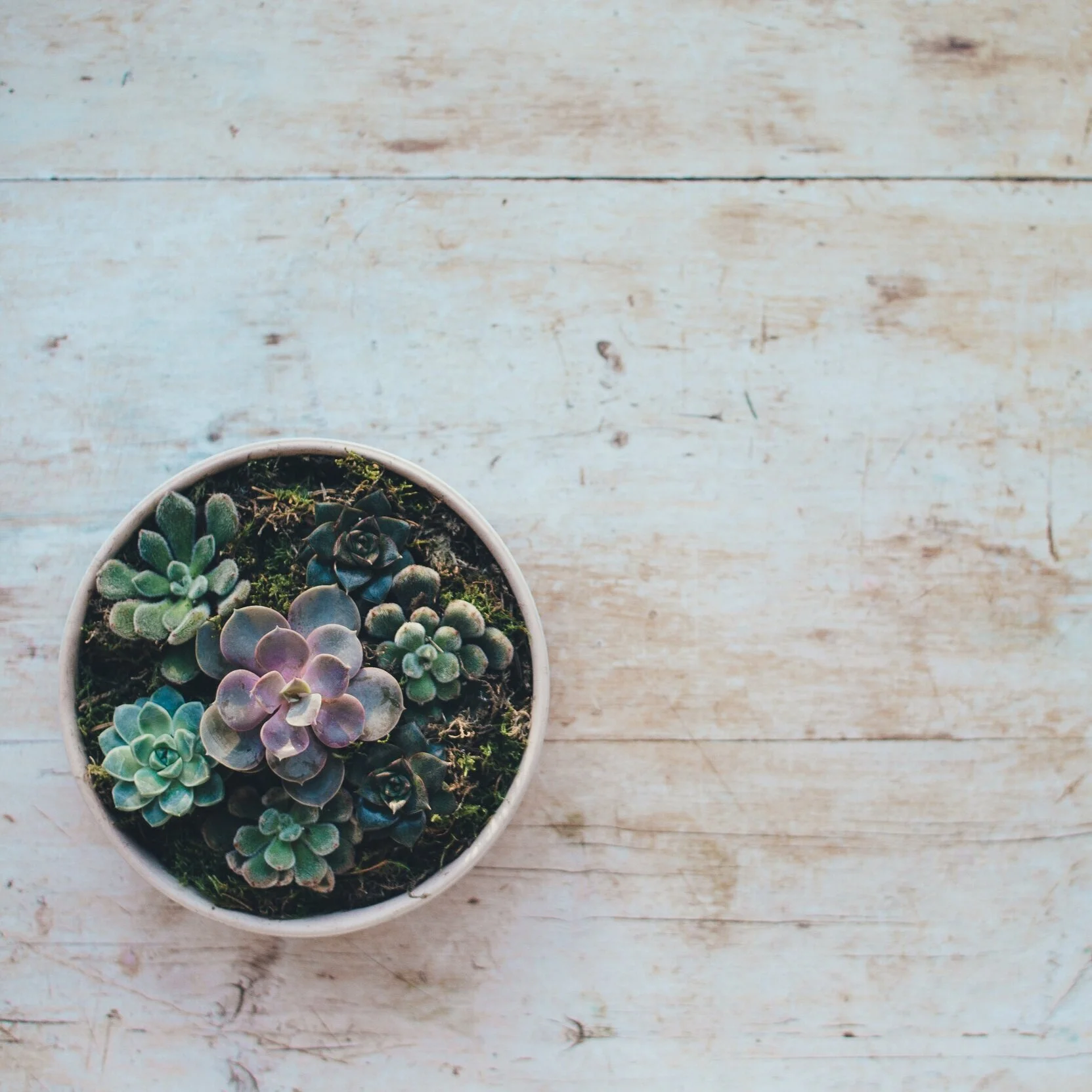 What's the first session like?