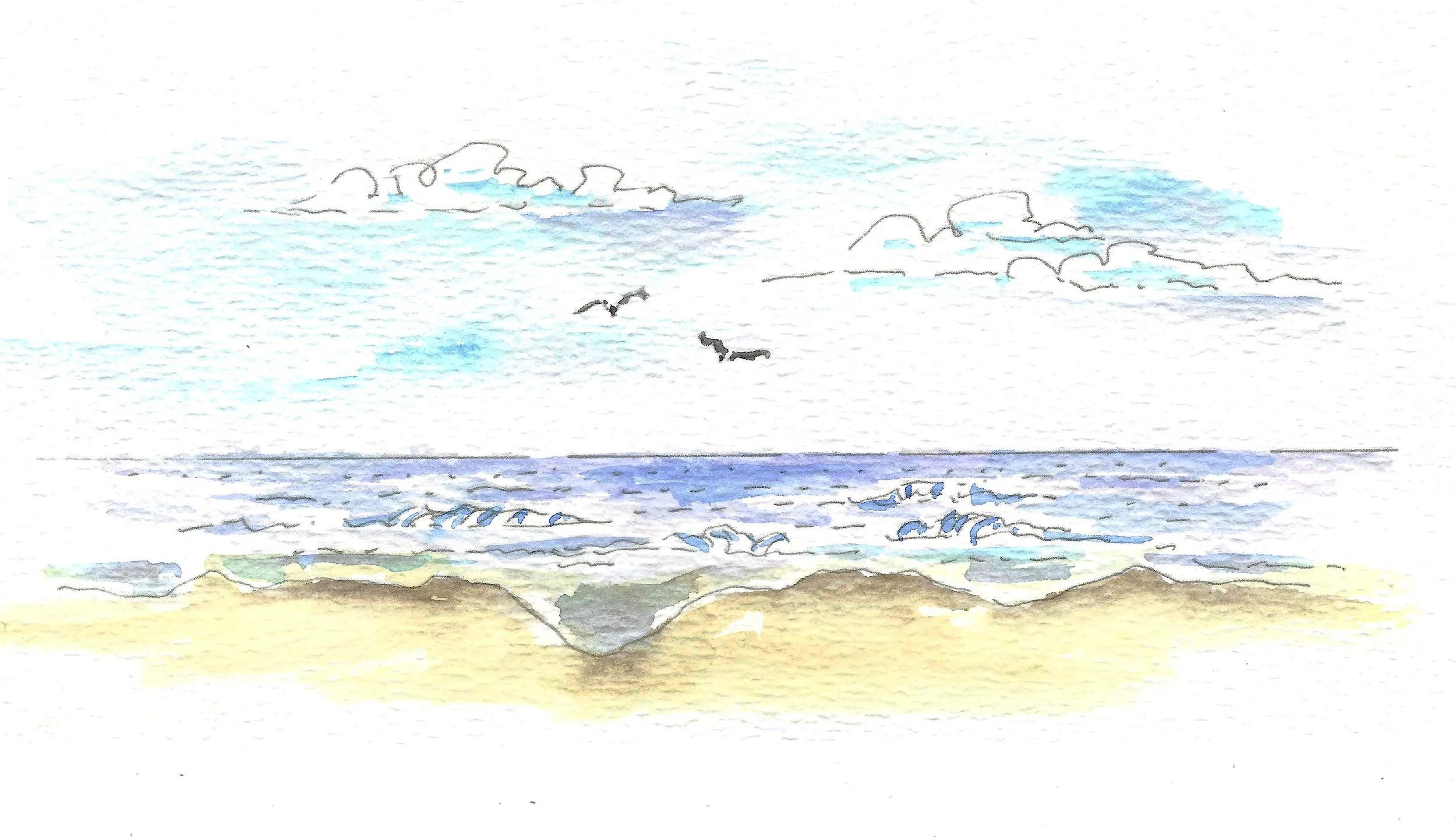 NH ocean color.jpg