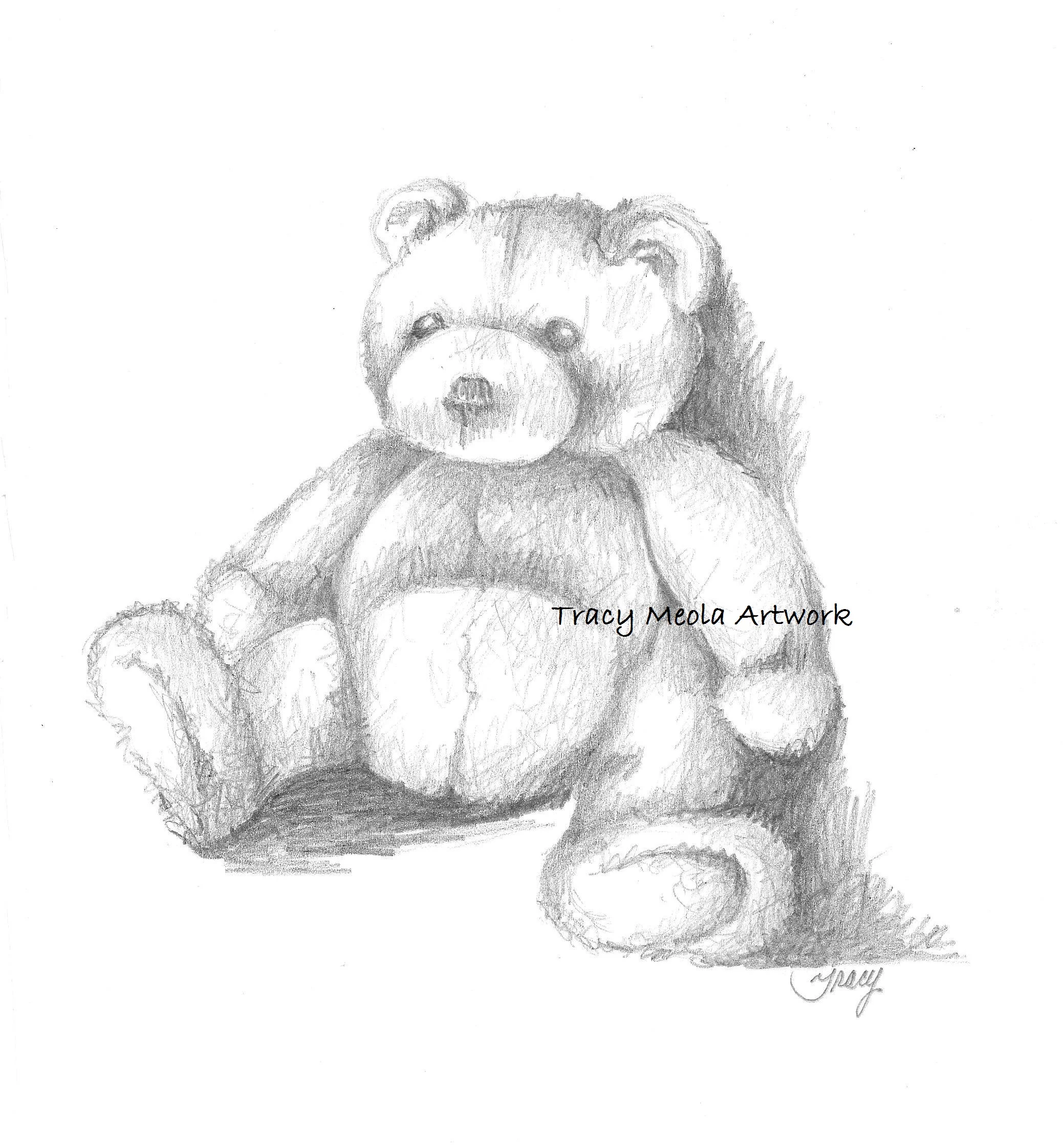 Teddy watermark.jpg