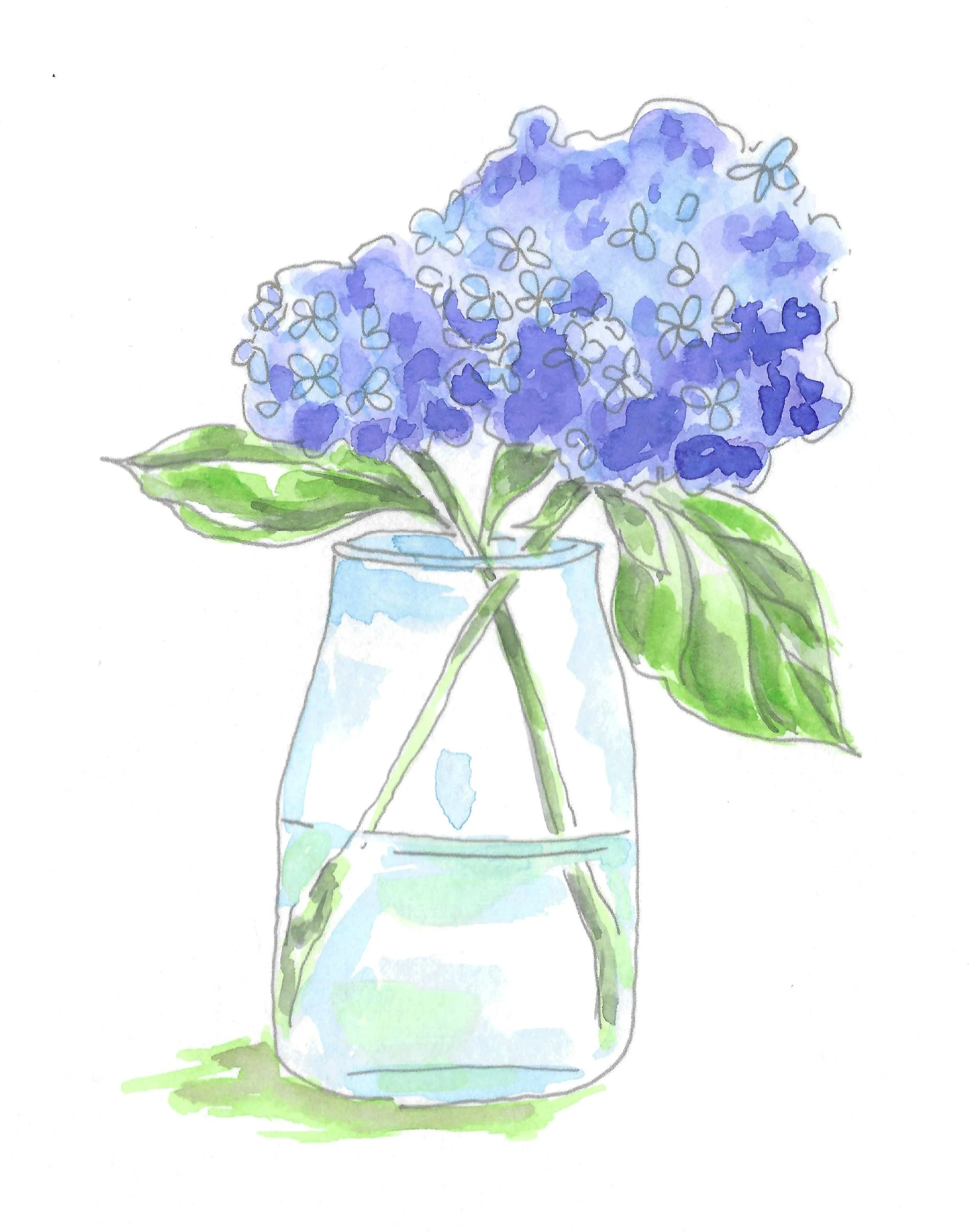 NH hydrangea color.jpg
