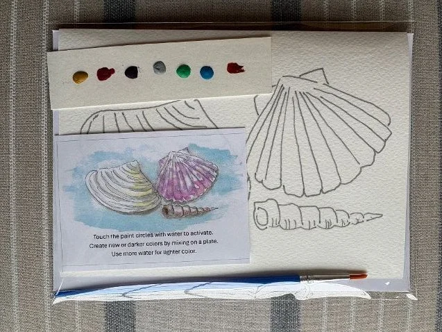 Shells color.jpeg