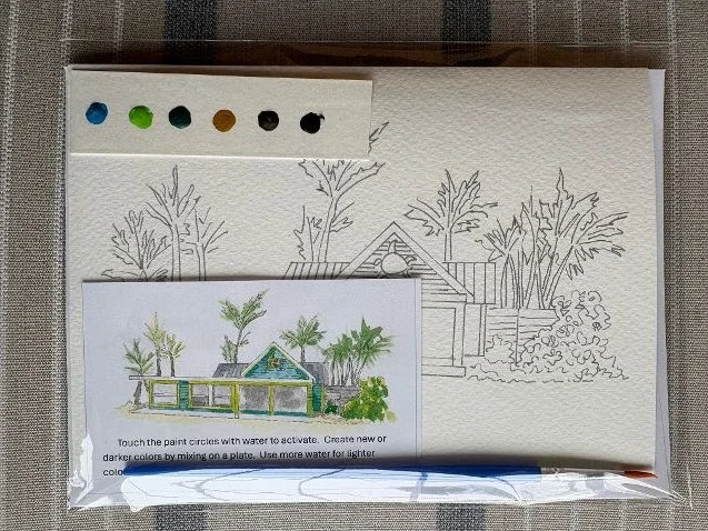 Turtle house color.jpeg