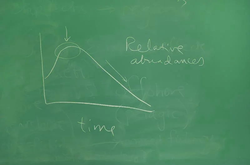 CHALK FX BU 2.26.14 0547 web.jpg