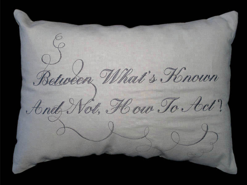 Pillow_BetweenWhat'sKnown.jpg