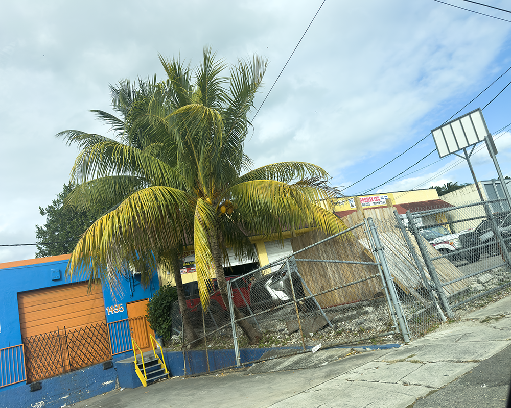 Streets Miami 12.12.24_9404.png