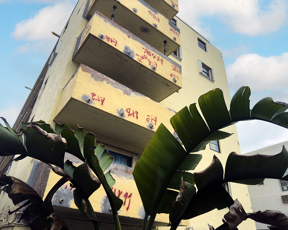 Streets Miami 12.13.24_9569.png