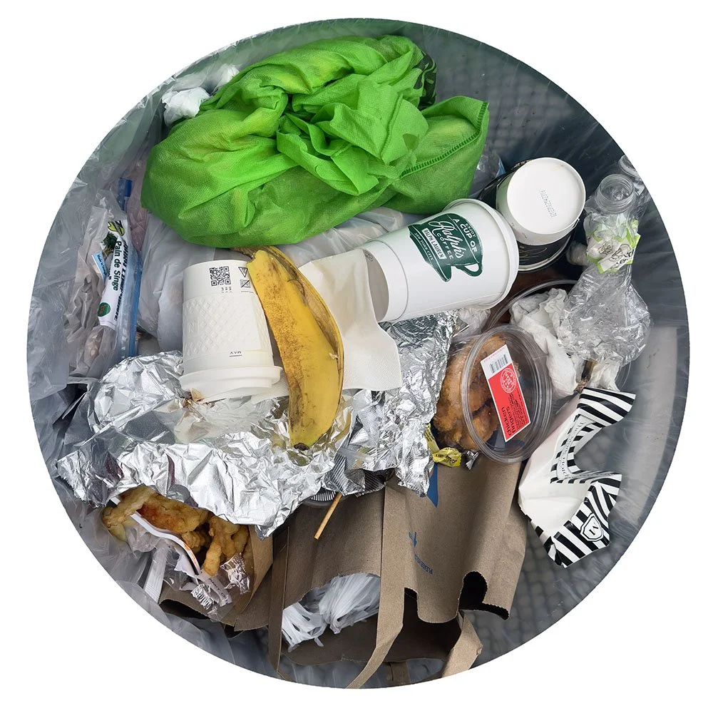 TRASH NY 6.27.25 4770 web.jpg