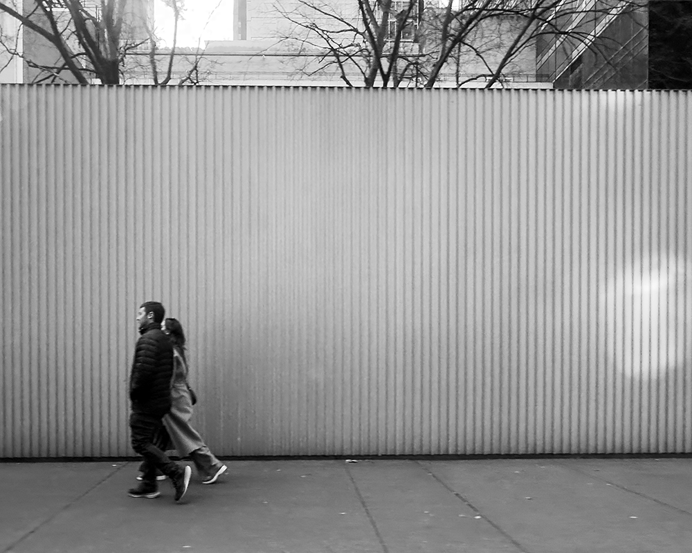 BW NY 1.2.26_9551.png