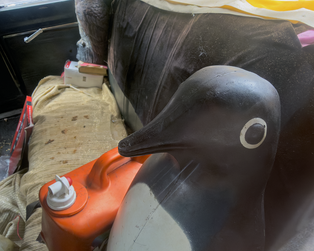 Car Seat NY 1.2.26_0187.png