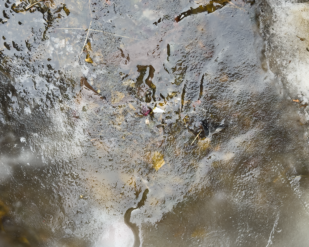 ICE NY 1.2.26_0186.png