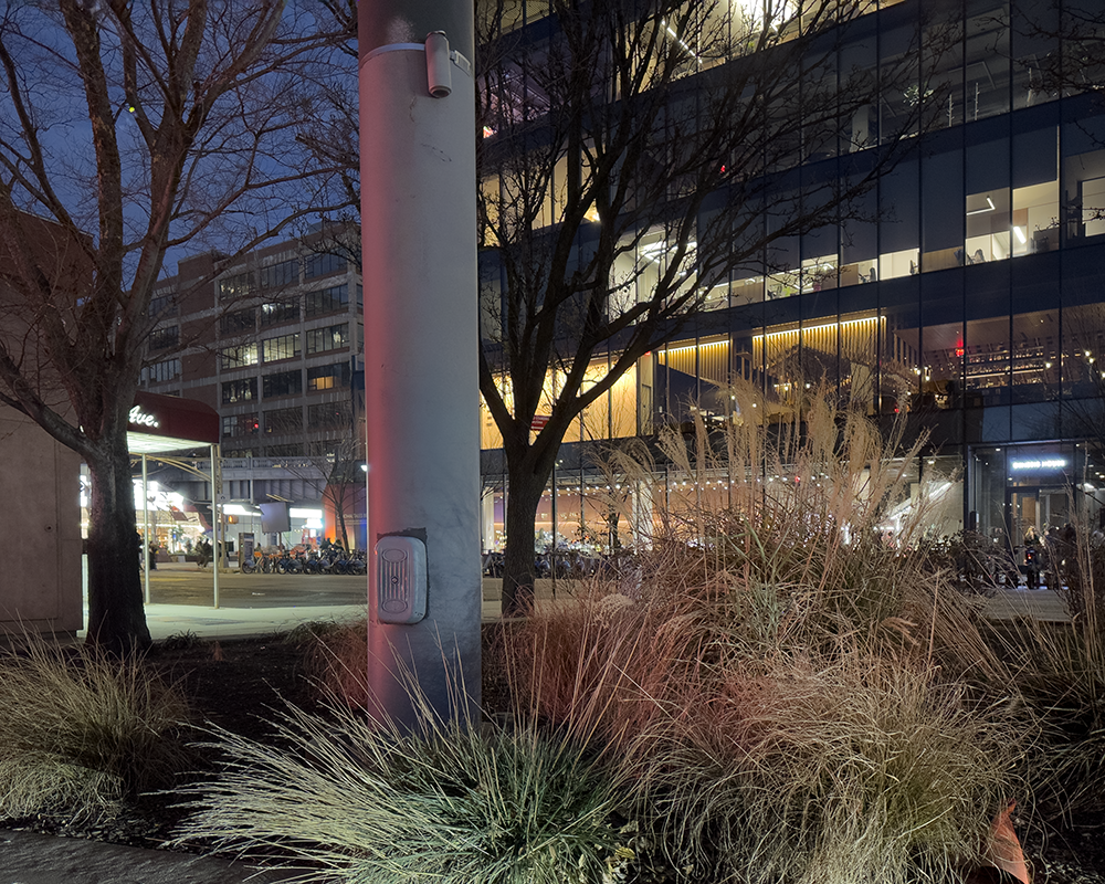 Night 12.6.25_9149.png