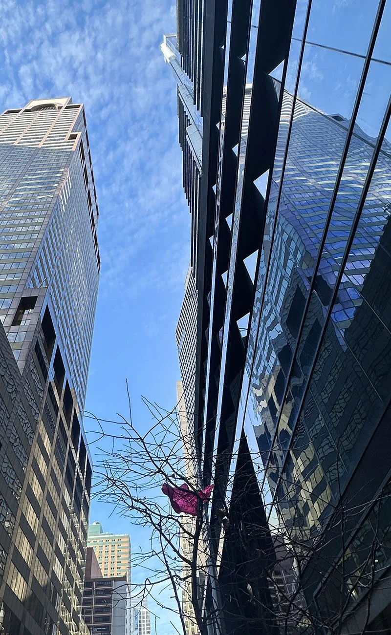 NYN 12.21.25_9574.jpg