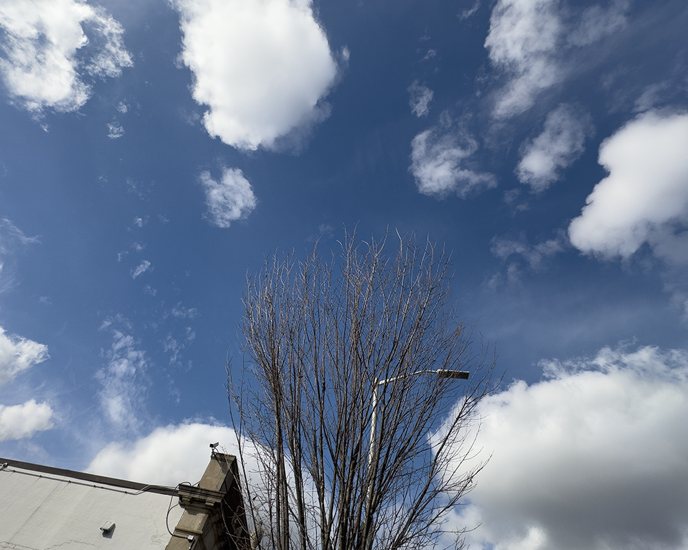 SKIES 11.21.25_8419.png