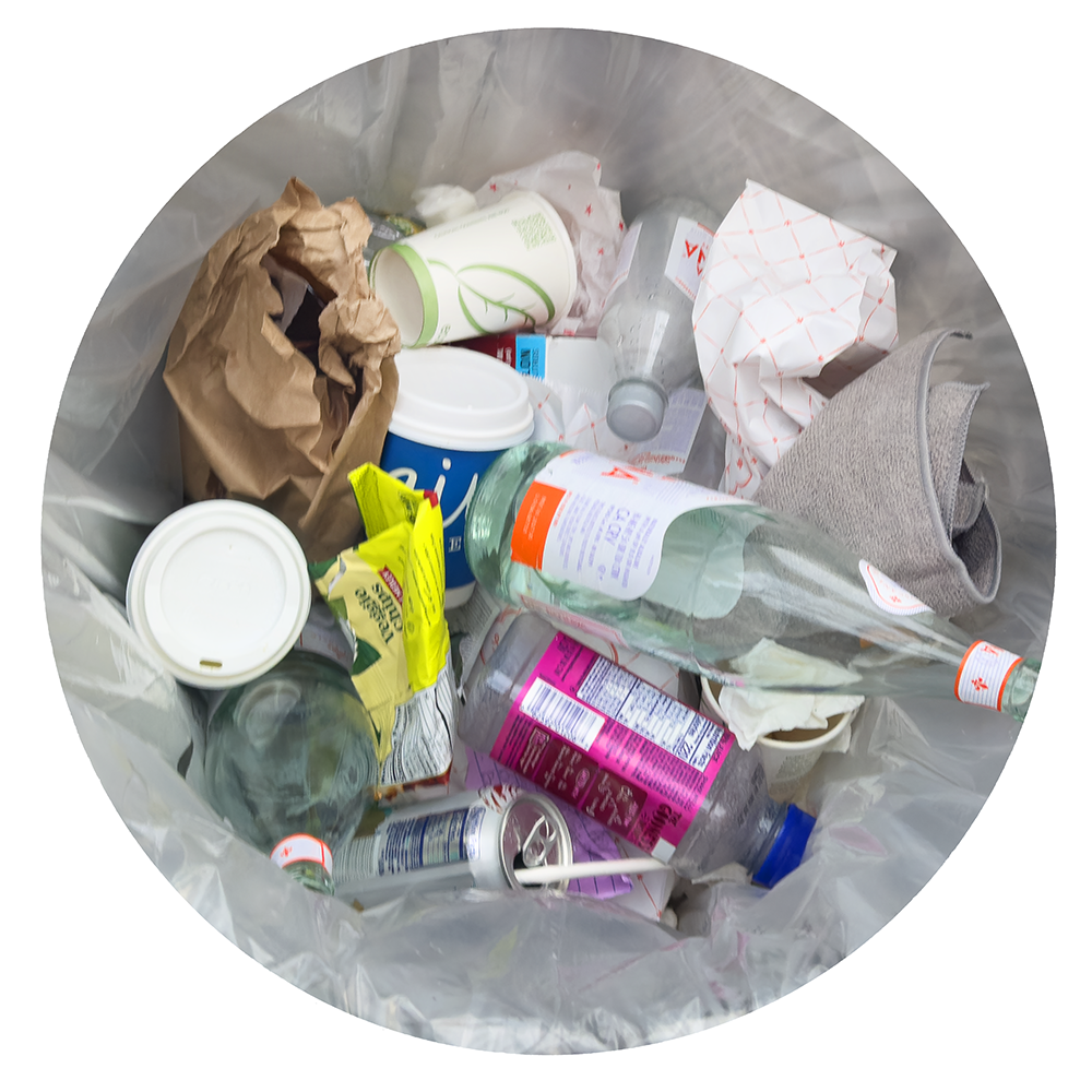 TRASH NY 11.14.25 8134.png