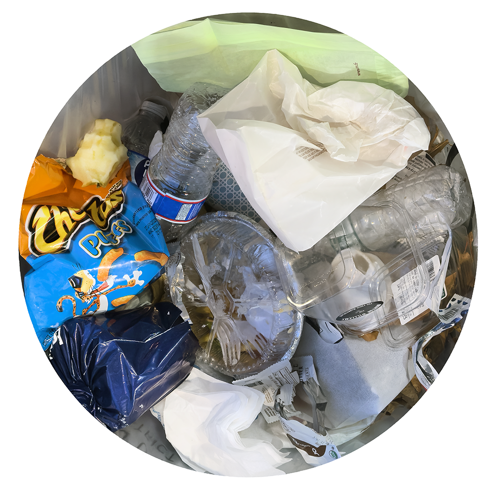 TRASH NY 11.14.25 8163.png