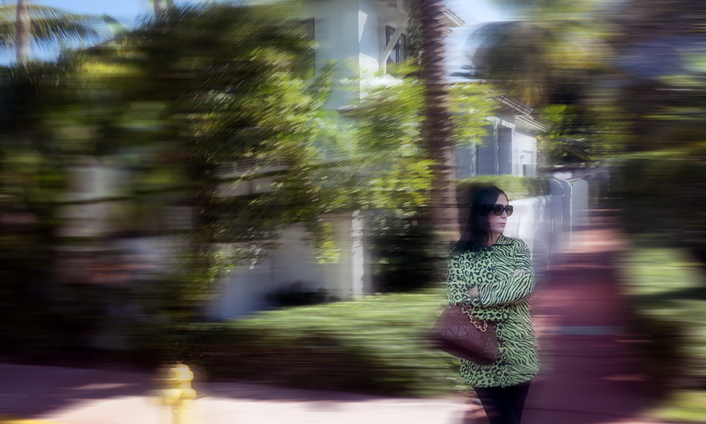 Erase Miami Trolley 1.16.26_4561.png