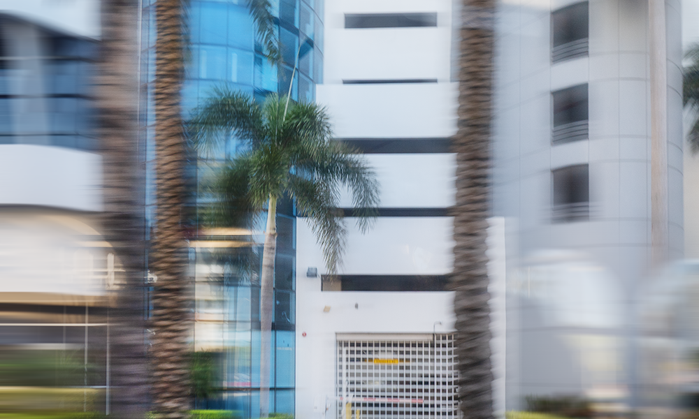 Erase Miami Trolley 1.16.26_4523.png