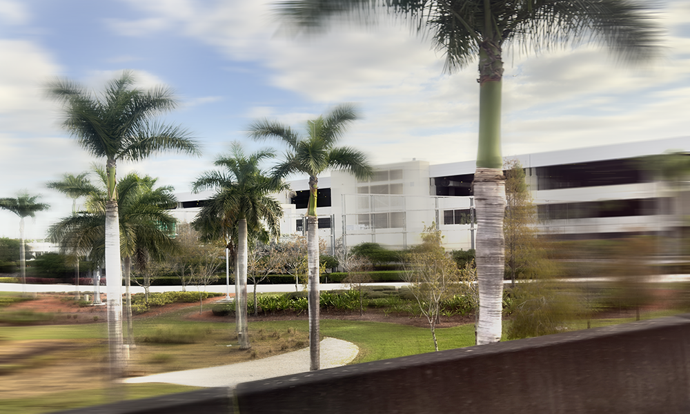 Erase Tampa 1.17.26_E0988 bw.png