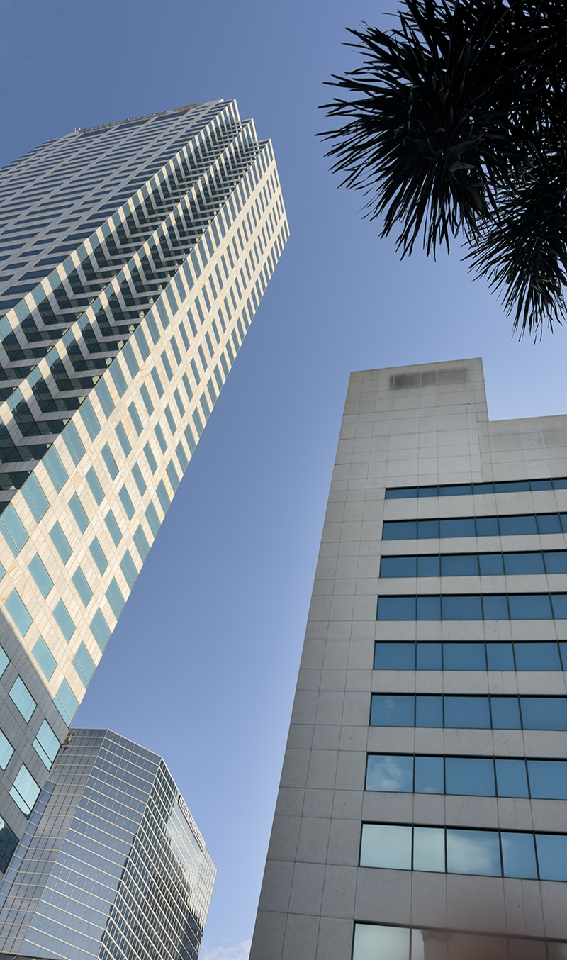 NYN Tampa 1.18.26_1145.png