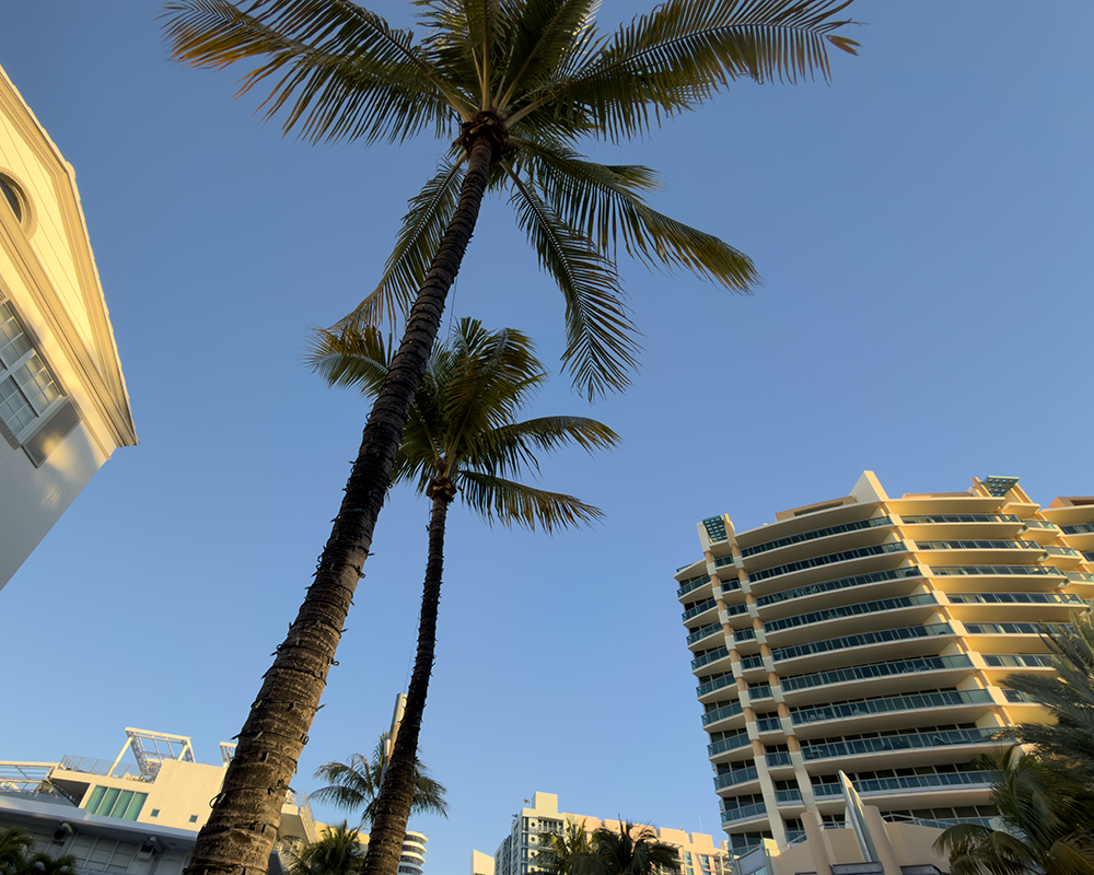 Streets Miami 1.16.26_0730.png