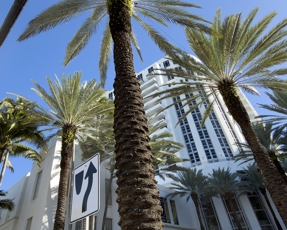 Streets Miami 1.16.26_0758.png