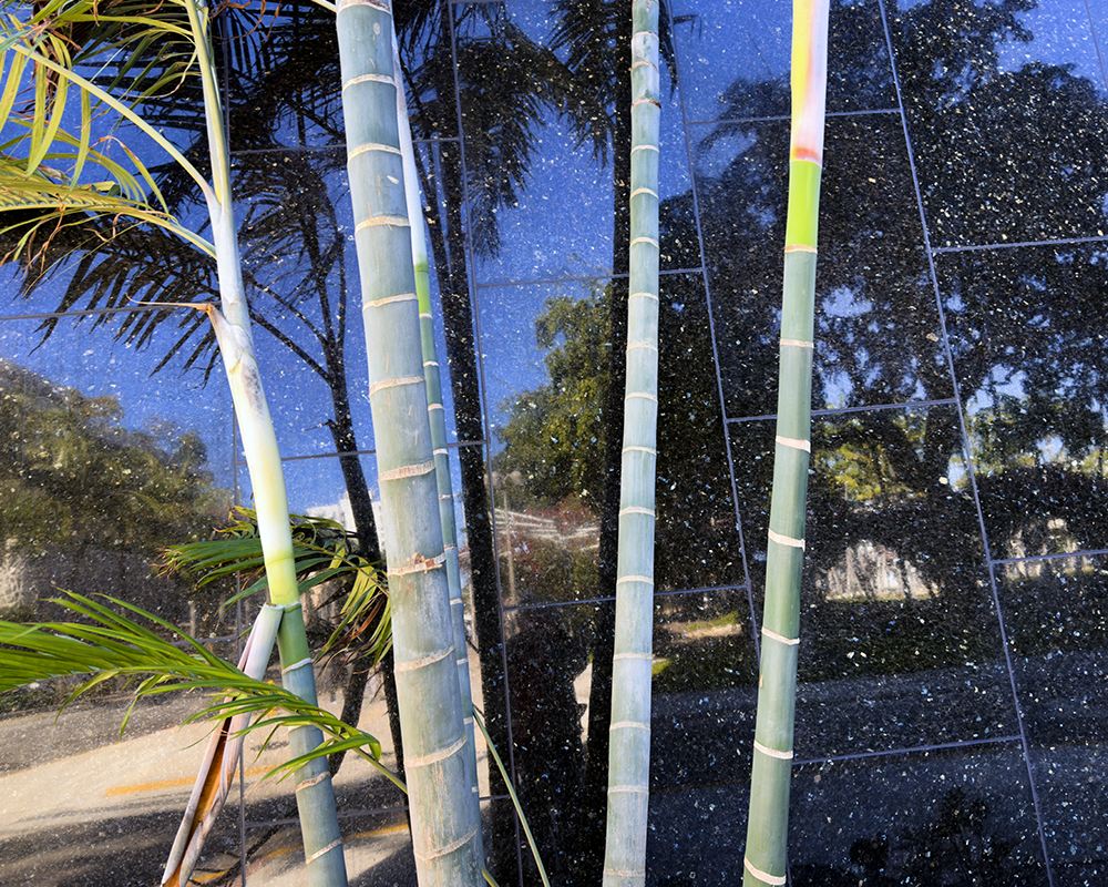 Streets Miami 1.16.26_0778.png