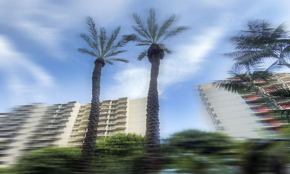 Erase LA 2.6.26_1622 bw.png