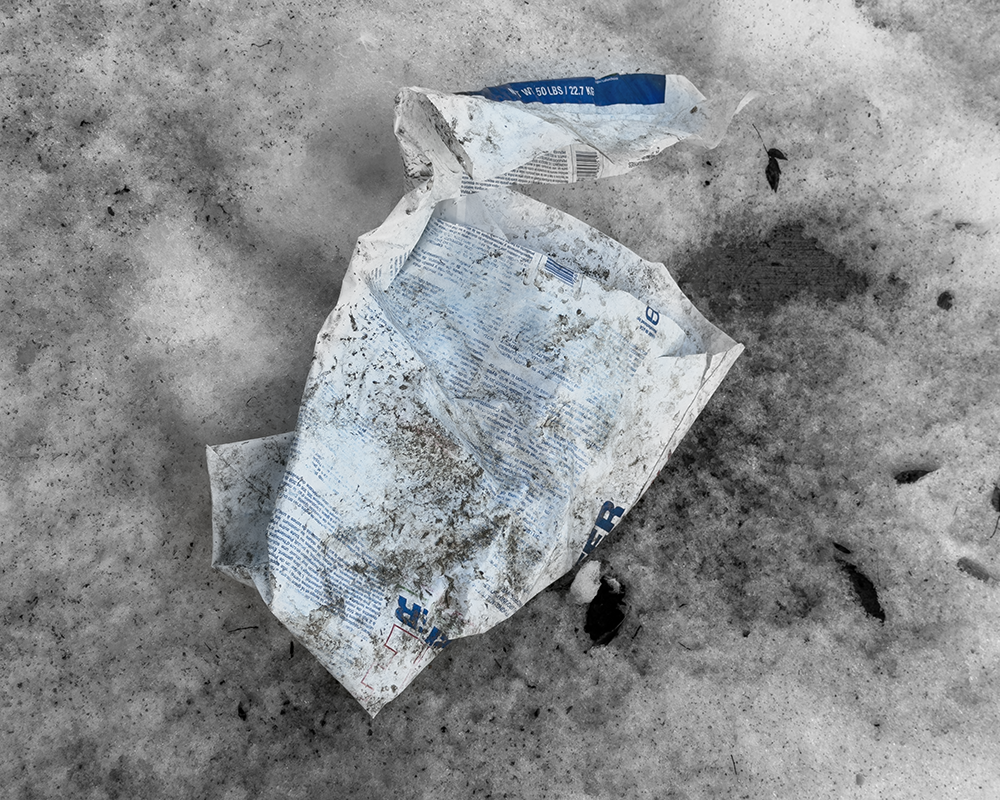 BW NY 2.20.26_2035.png