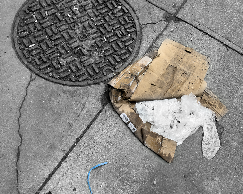 BW NY 2.21.26 _2304.png