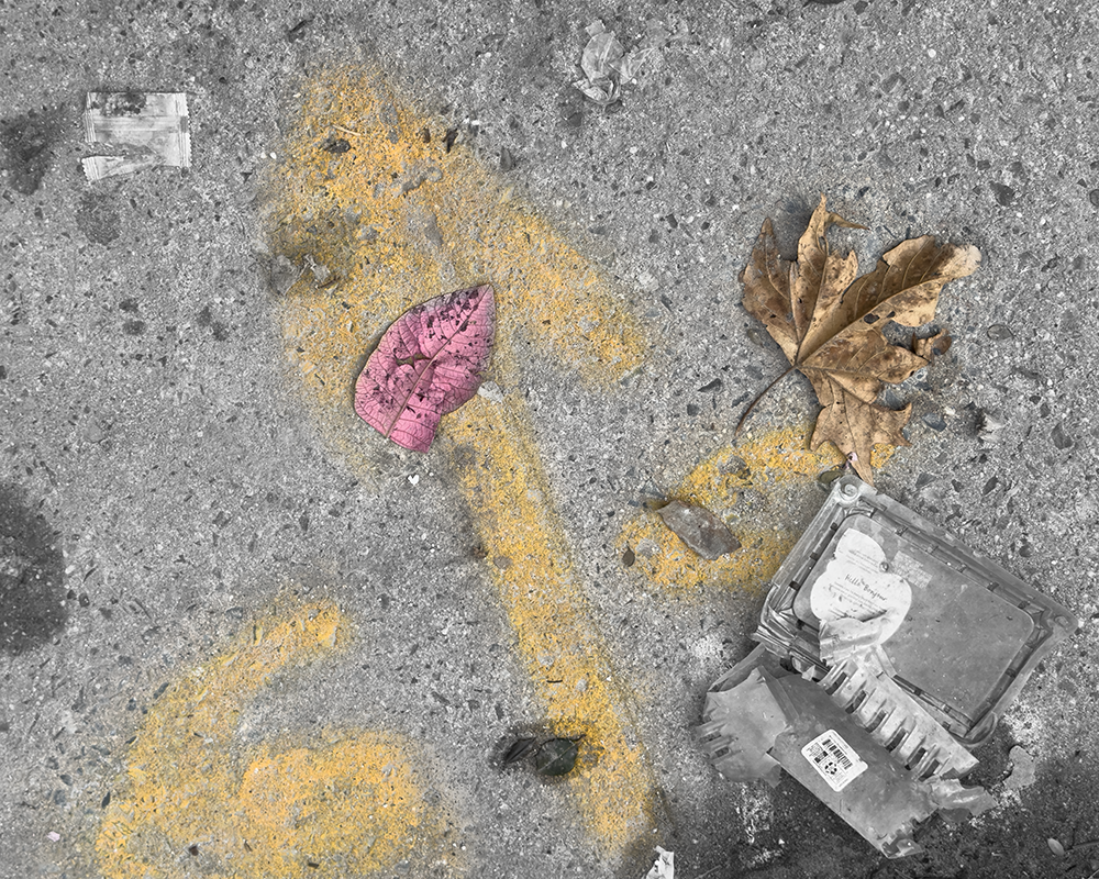 BW NY 2.21.26 _2306.png