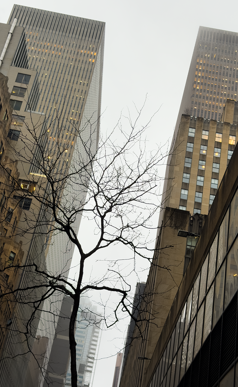 NYN NY 2.20.26_2165.png