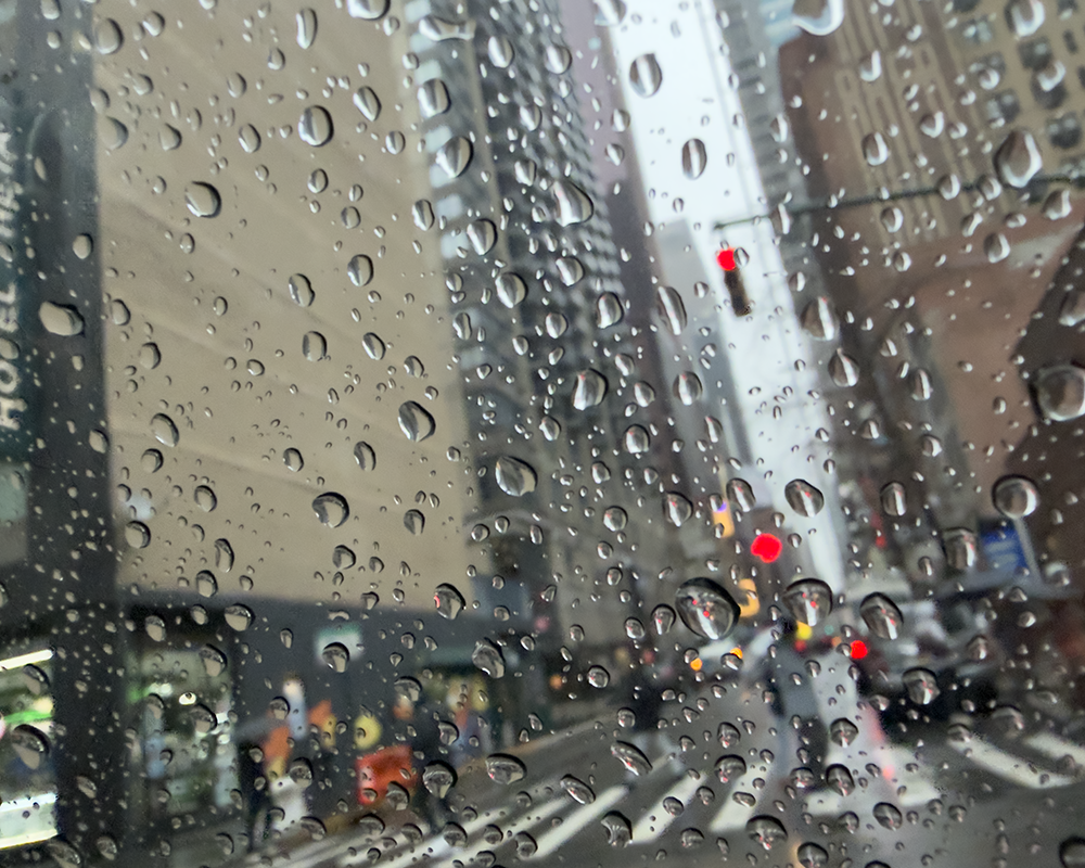 Rainy NY 2.20.26_2096.png