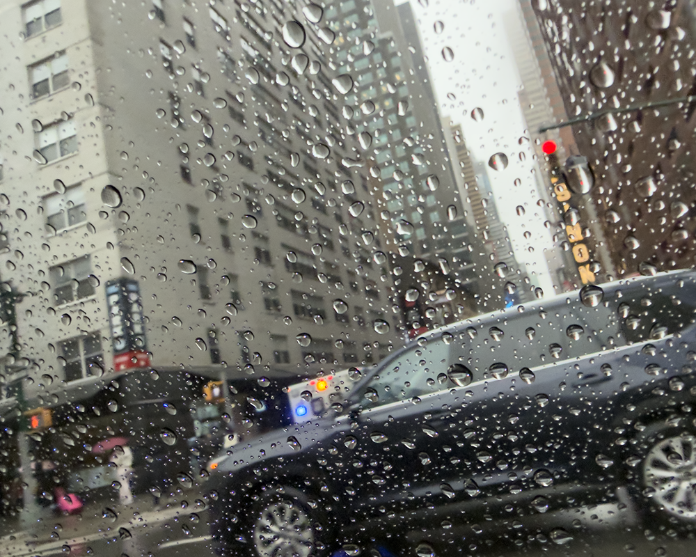 Rainy NY 2.20.26_2101.png