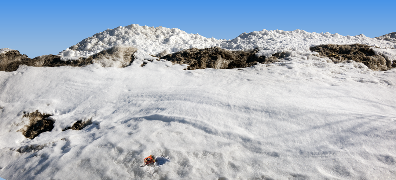 Snow Meadow Glen 2.28.26_6440.png
