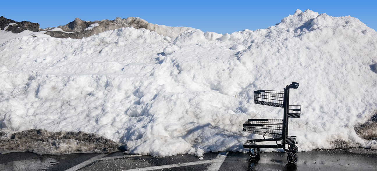 Snow Meadow Glen 2.28.26_6441.png