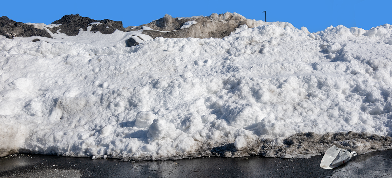 Snow Meadow Glen 2.28.26_6442.png